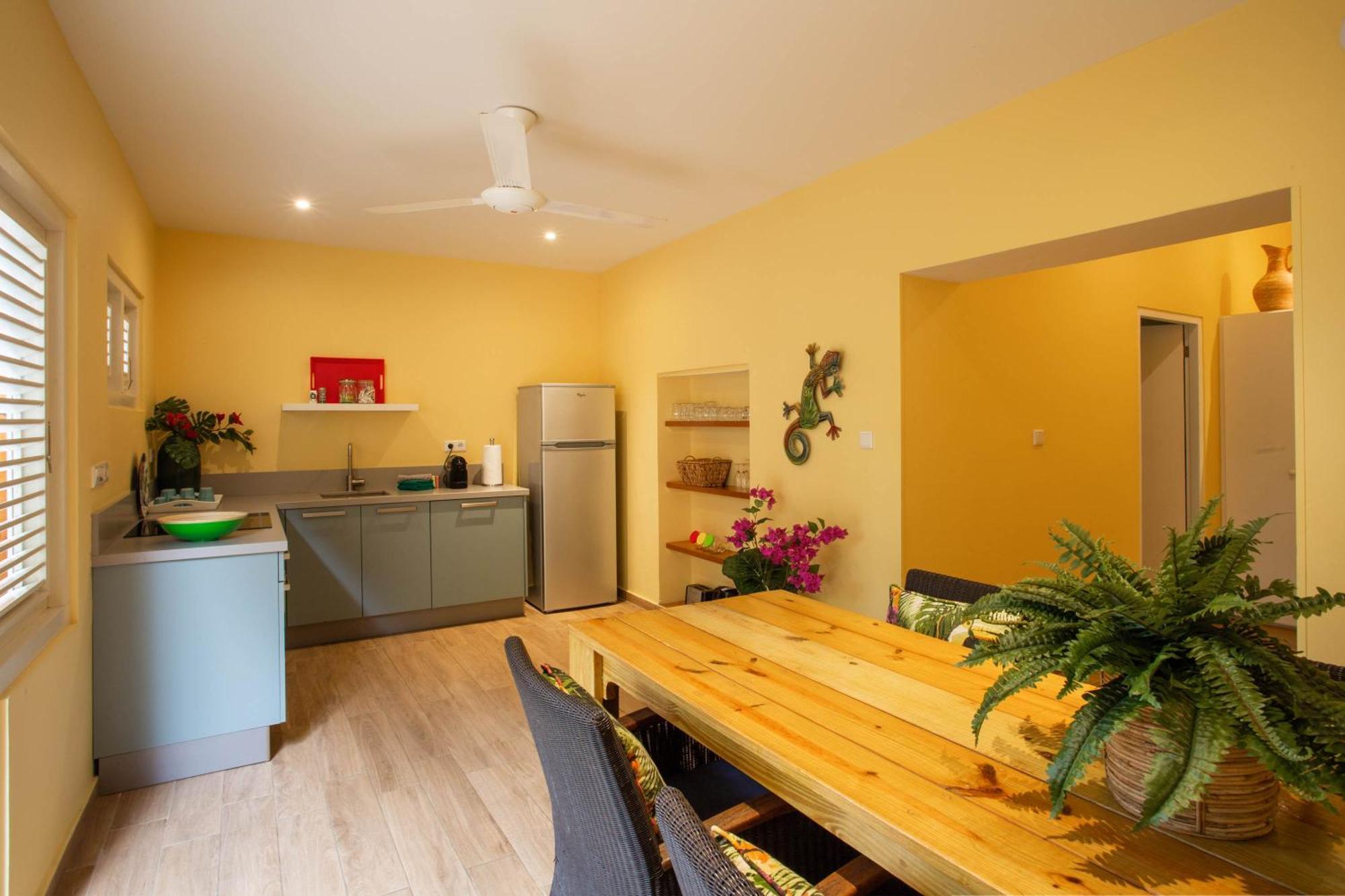Curacao Gardens Apartment Willemstad Cameră foto